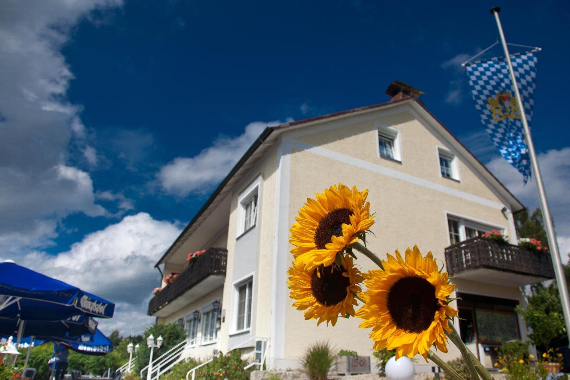 Landgasthof Am Sonnenhang Vohenstrauss Buitenkant foto